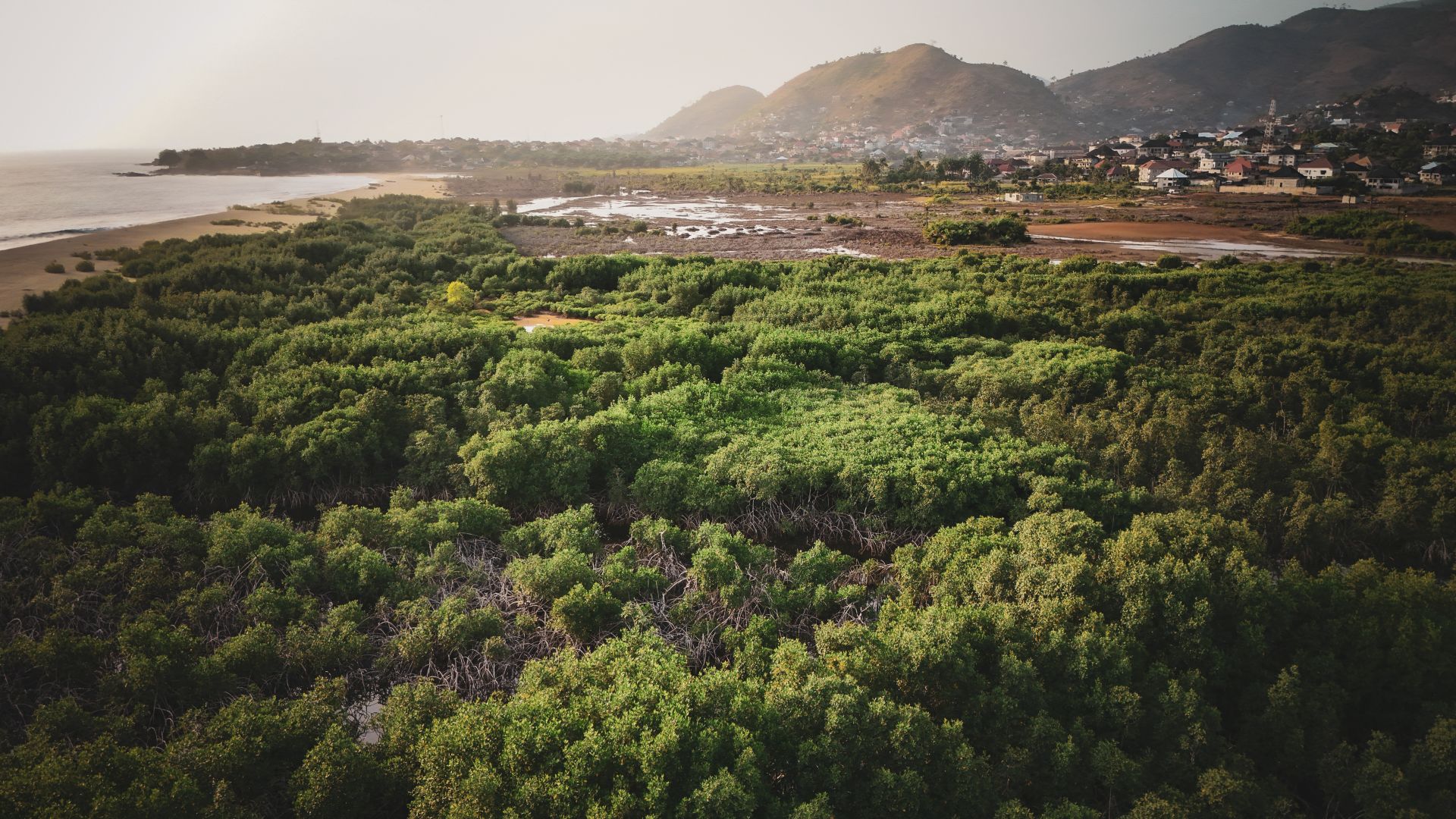 La destruction des forêts tropicales ralentit mais reste inquiétante