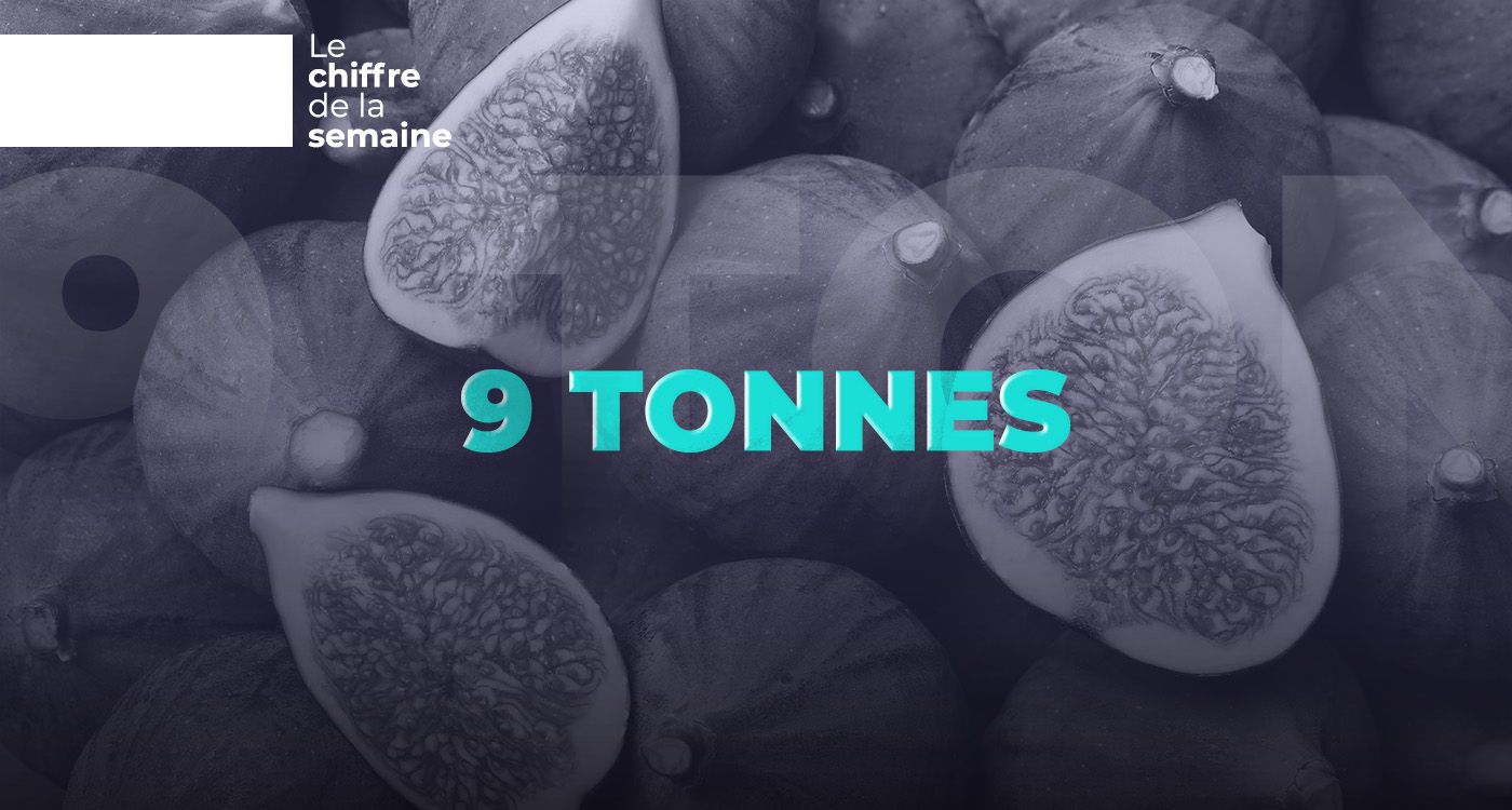 9 tonnes exportées: le paradoxe de la figue libanaise