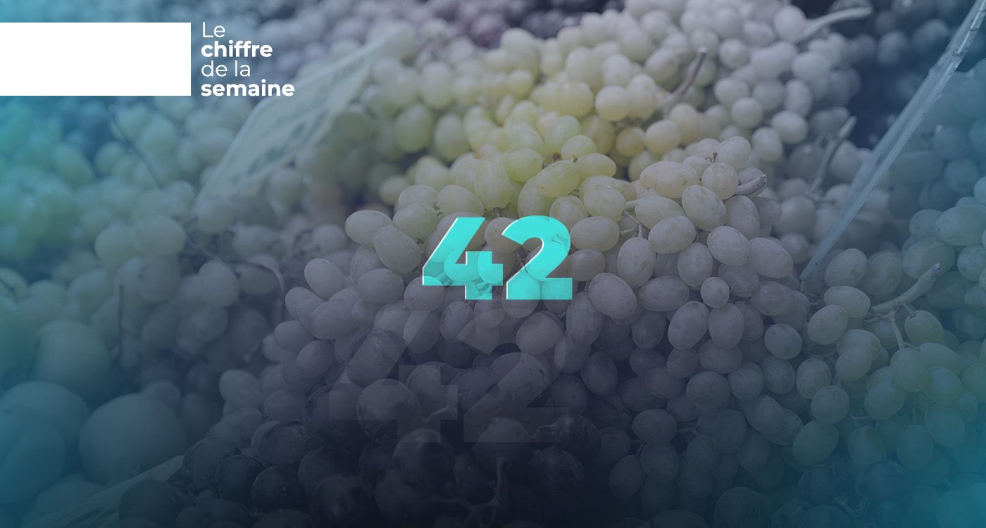 42 marchés : la success story du raisin libanais