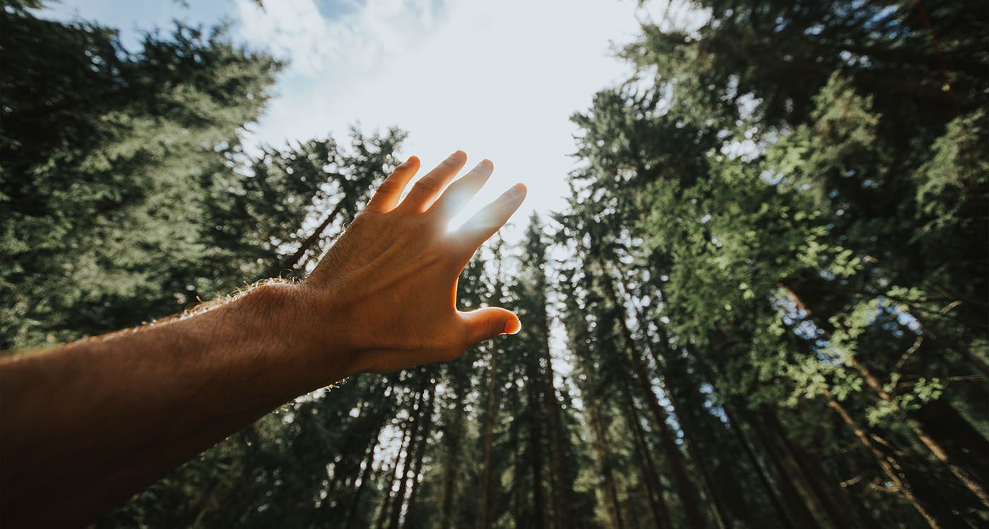 La vie émet une lumière que la mort efface
