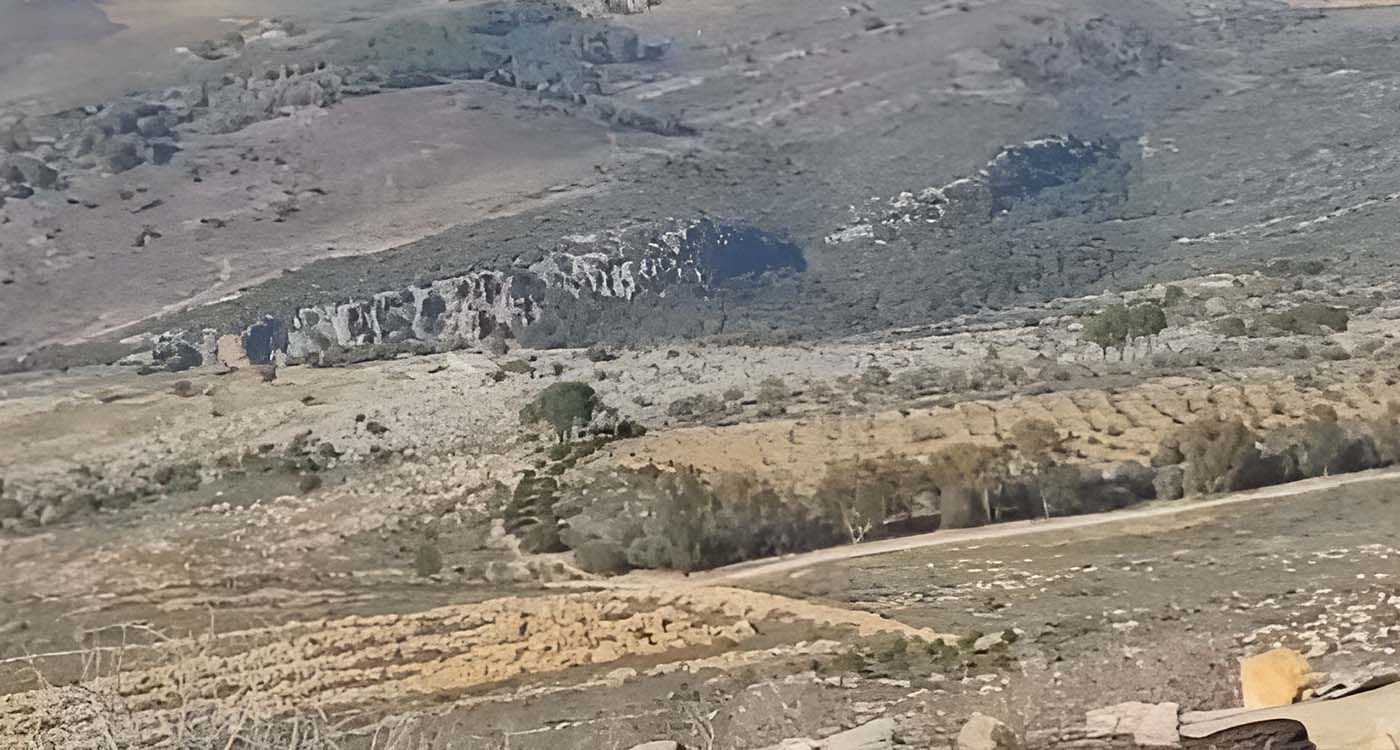 Mazraet el Jrine: un litige foncier révélateur de l’impuissance de l’État