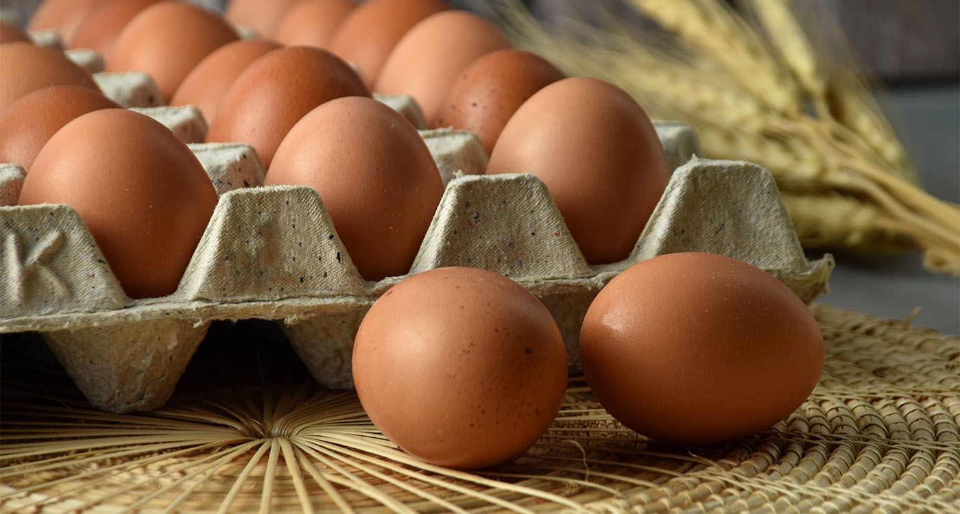 Eggflation: quand manger des œufs devient un luxe!