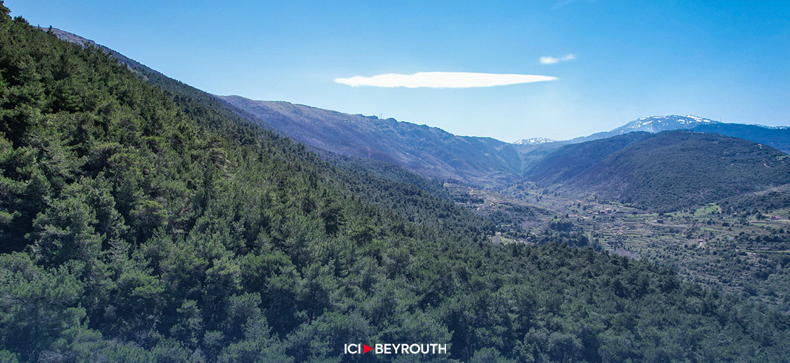 Destructions des forêts du Akkar, l’État aux abonnés absents