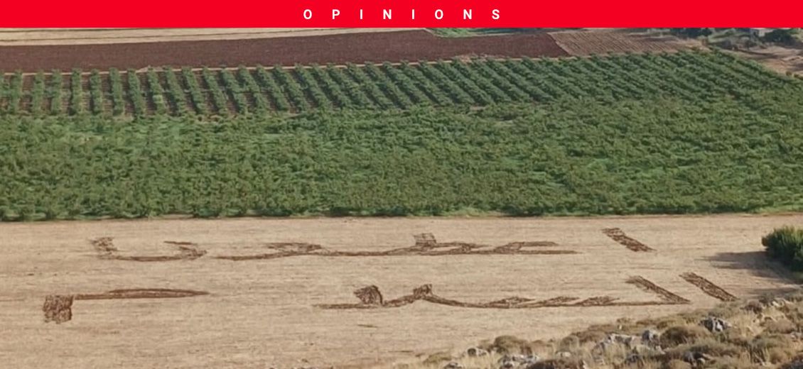 Face à la destruction de terrains agricoles, la résilience difficile des habitants du Liban-Sud