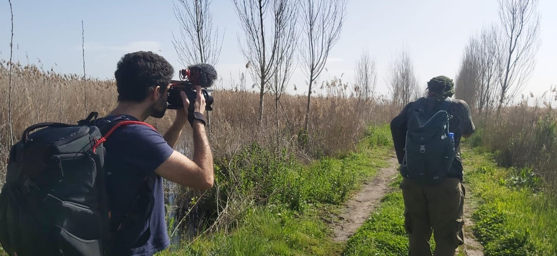 «Shift»: voyage intérieur au cœur des vols d’oiseaux