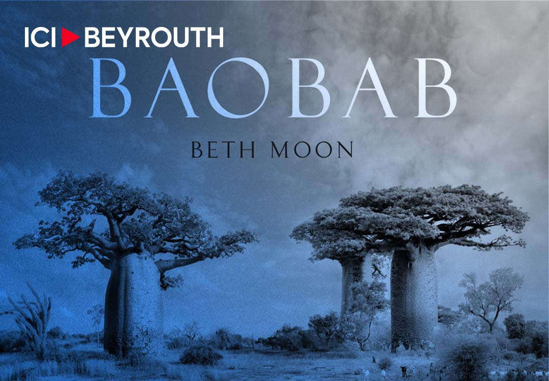 Baobab de Beth Moon: hommage à l’arbre à l’envers