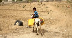 Crise humanitaire : la population yéménite laissée à l’abandon par la communauté internationale