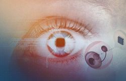 DMLA sèche: la recherche franchit un cap avec une puce qui restaure la vision centrale