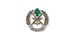 L’armée dément la présence d’armes dans une maison à Yanouh