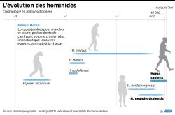 L'Homo sapiens aurait menti sur son âge