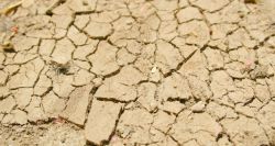 Sécheresse et climat extrême: les agriculteurs indiens à bout