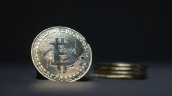 Le Bitcoin décroche un nouveau record avant de reprendre son souffle