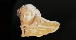 L’histoire d’un chérubin 