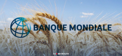 Blé: délégation de la Banque mondiale au Liban