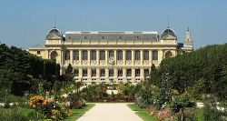 Vol d'or au Muséum d'histoire naturelle à Paris: une Chinoise mise en examen et écrouée