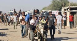 Le chef de l'OMS: Gaza confrontée à une famine provoquée alors que le blocus se poursuit