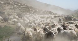 La renaissance des montagnes kurdes
