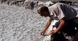 La Kabylie: là où le sol brille blanc de sel