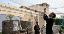 Pakistan: des filets de pêche contre les drones
