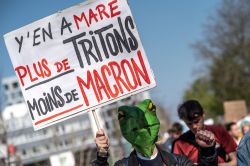 Le président Macron : ambitions écologiques ou greenwashing ?