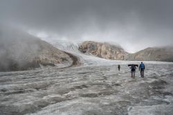 La moitié des glaciers du monde disparaitront d'ici à 2100