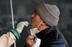 Chine: le point sur l'épidémie de fièvre chikungunya