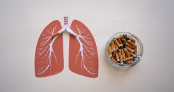 Pourquoi le tabac détruit uniquement certains poumons 