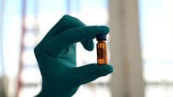 Insior: un répulsif écologique contre le puceron vert