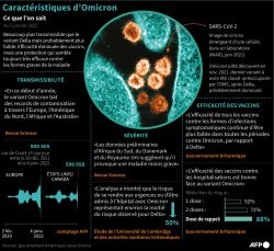 Plus de la moitié des Européens touchés par Omicron d'ici à deux mois, avertit l'OMS