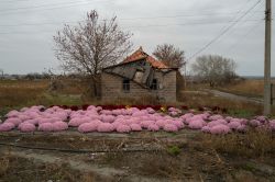 Dans l'est de l'Ukraine, l'étau se resserre autour des derniers civils