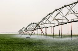 Pour planter son blé, l'Irak puise dans les nappes phréatiques
