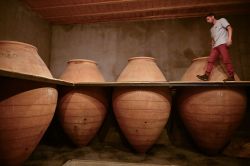 Les vins en amphore trouvent leur place dans les caves françaises