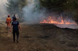 Incendies en Turquie: plus de 50.000 personnes évacuées