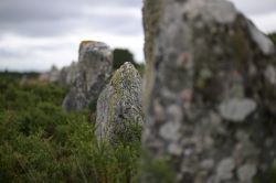 Les mégalithes de Carnac sous les projecteurs du monde