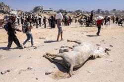 Trump annonce la mise en place de centres de distribution alimentaire à Gaza