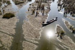 La sécheresse menace les marais irakiens