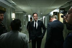 Le chef de l'Otan se veut rassurant sur l'état des relations entre Trump et Zelensky