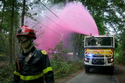Forêt de Fontainebleau: les incendies ont parcouru plus de 1.900 hectares