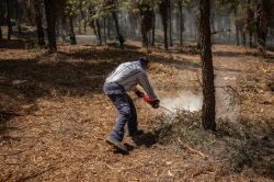Incendie près d'Athènes: autorités et habitants évaluent l'ampleur des dégâts