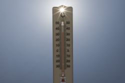 Canicule en France: 1.243 morts en excès du 3 au 22 juillet