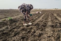 L'ONU prévoit un El Niño «de très forte intensité» ces cinq prochains mois