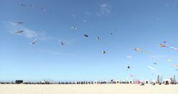 Berck-sur-Mer: le grand ballet des cerfs-volants est lancé