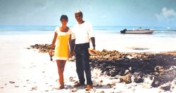 Débauche aux Caraïbes: ces noms arabes, libanais et africains cités dans les dossiers Epstein