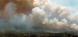 Ravagé par des incendies, le Québec évacue 11.000 personnes