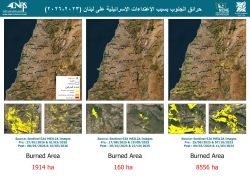Liban-Sud: 1.914 hectares brûlés depuis le 02 mars