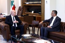 Liban-Sud: 22,5% des terres agricoles endommagées