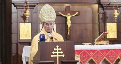 Chute à l’autel: le patriarche Raï opéré avec succès