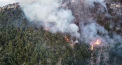 Kobeyate : l’incendie maîtrisé, plus de 20 hectares de forêts détruits