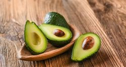 L’avocat, nouvelle star des vergers libanais