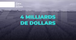 Quatre milliards de dollars: le poids réel de l’agriculture libanaise